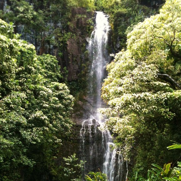🌴 THE ROAD TO HANA IN MAUI - Picture 3 of 7